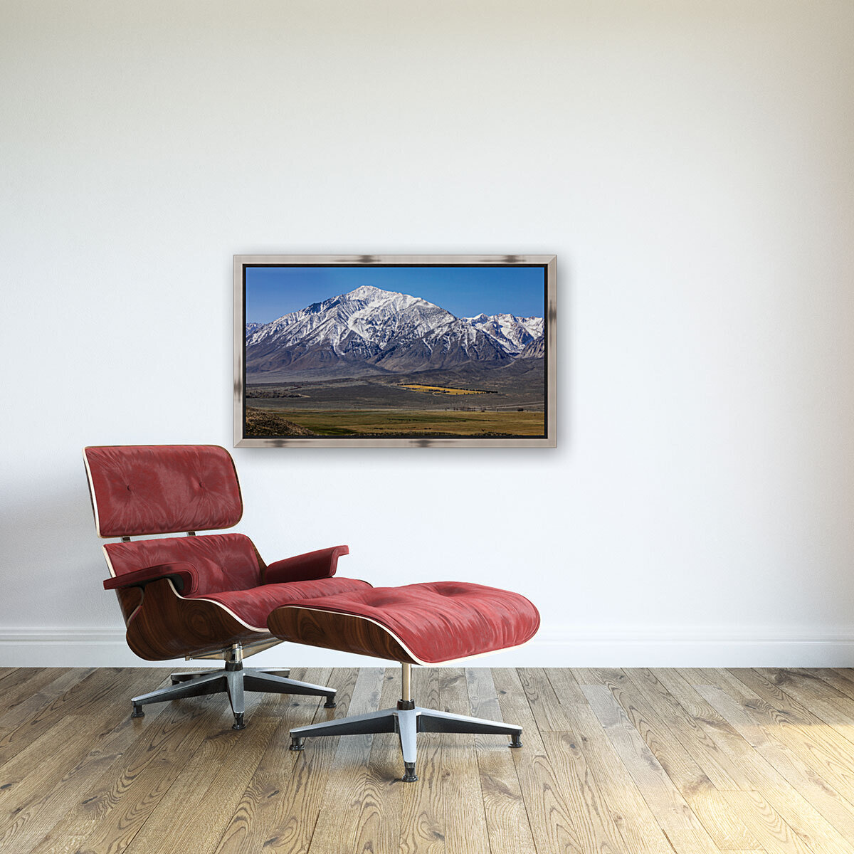 801A4721 Reproduction