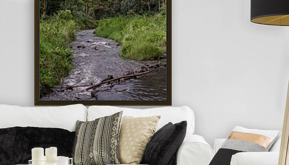 Hawaiian Stream Reproduction
