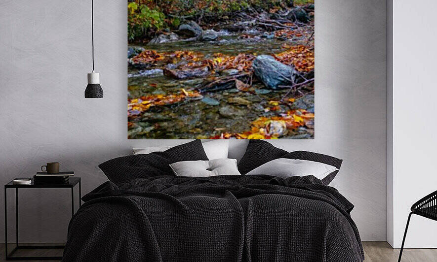 Fall Stream  Reproduction