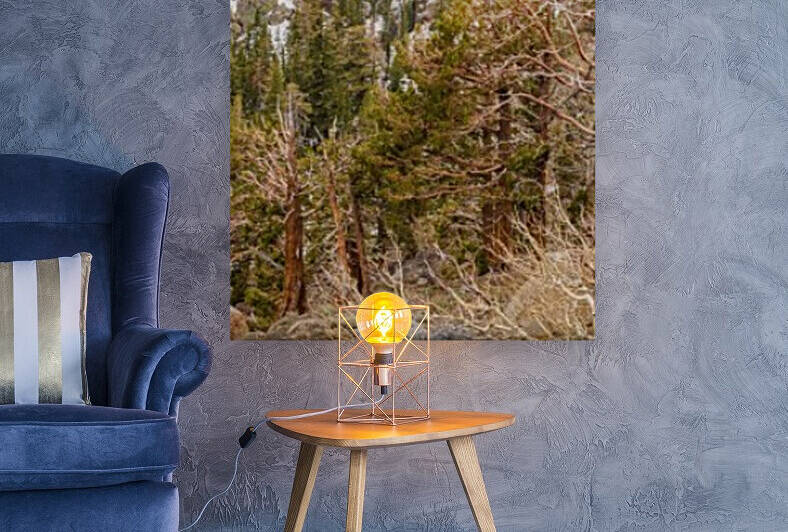Twigs and Branches Reproduction