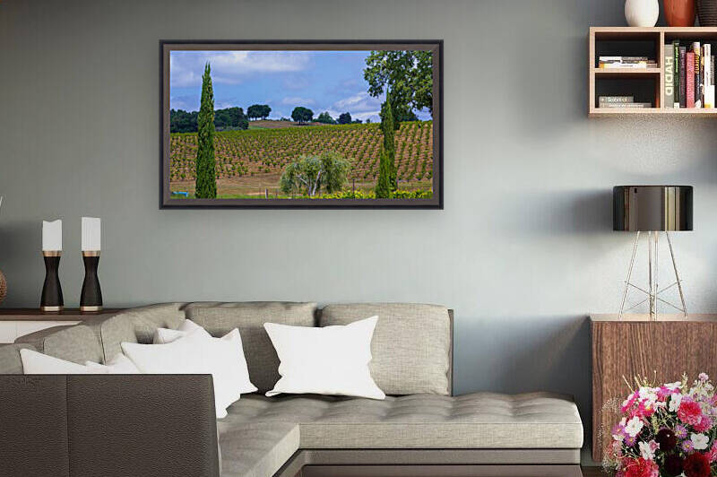 Vinyard and Italian Cypress by Nicholas
