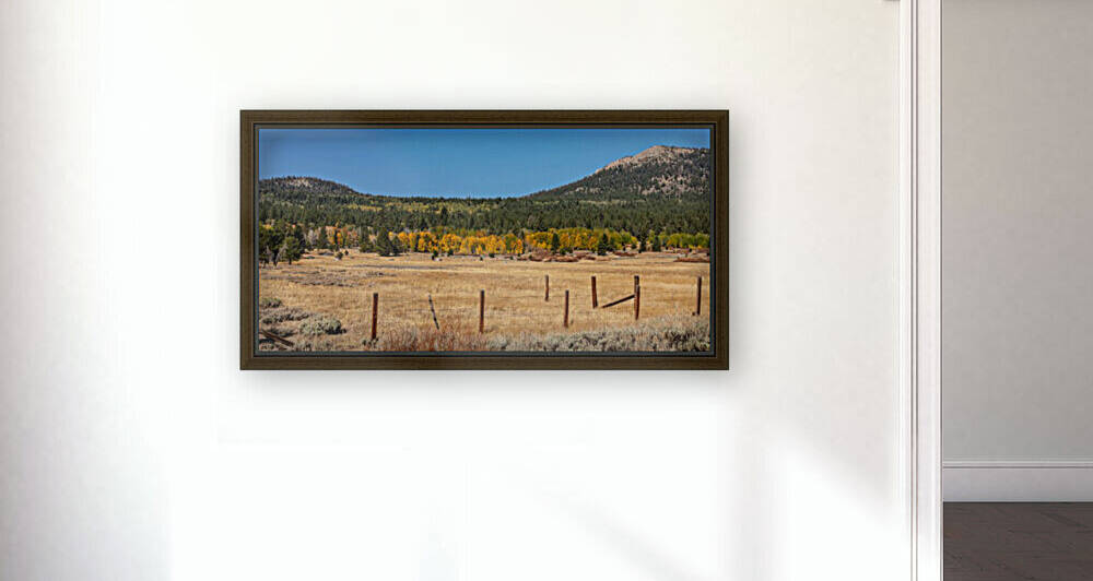 Hope Valley Fence Line Reproduction