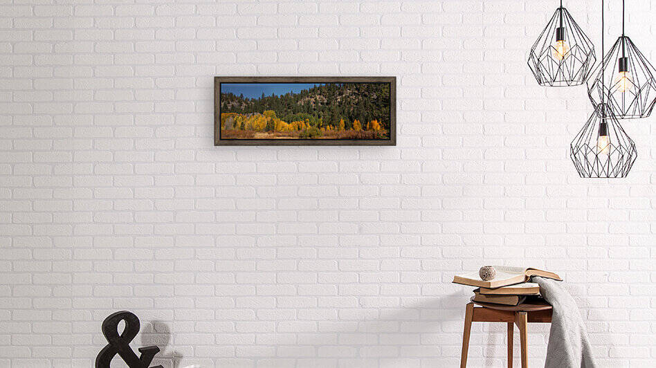 Hope Valley Aspens Reproduction