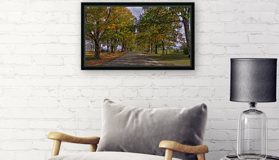 Tree Lined Road Reproduction