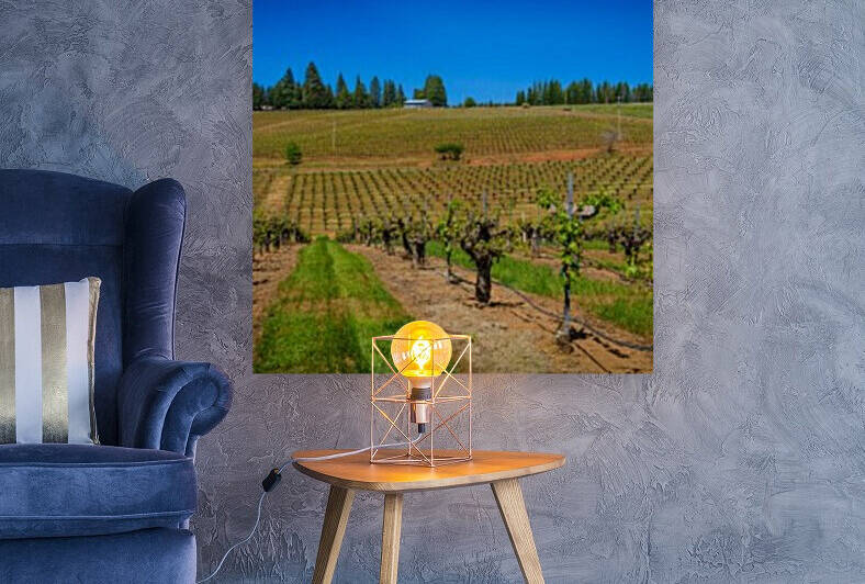 Lava Cap Vineyard Vivid Reproduction