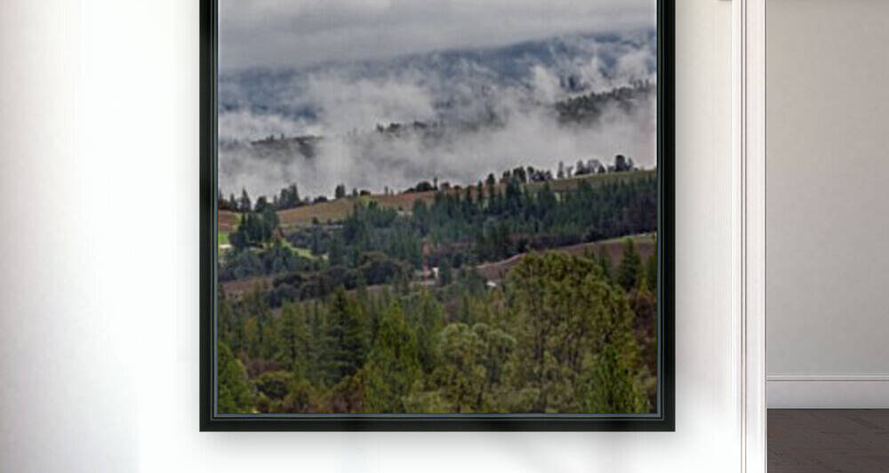 Foggy Vineyards Reproduction