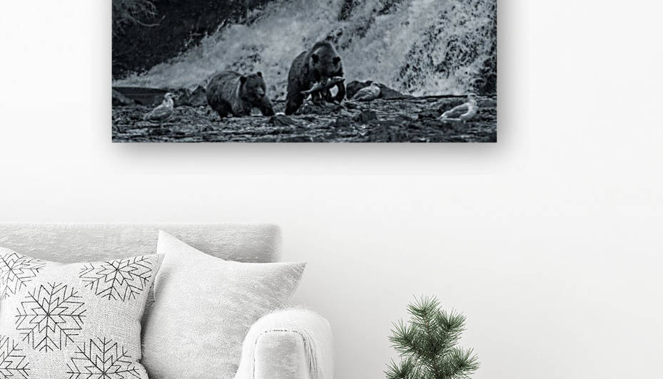 Fishing with Bears Reproduction