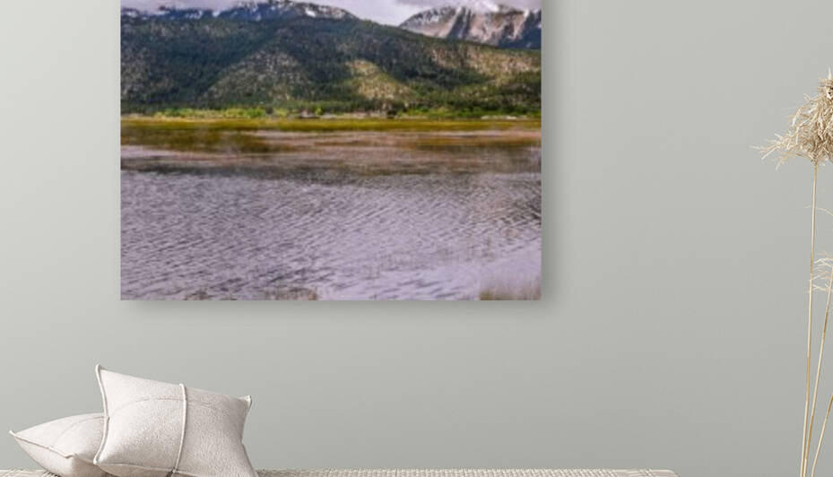Misty Washoe Valley Vivid by Nicholas