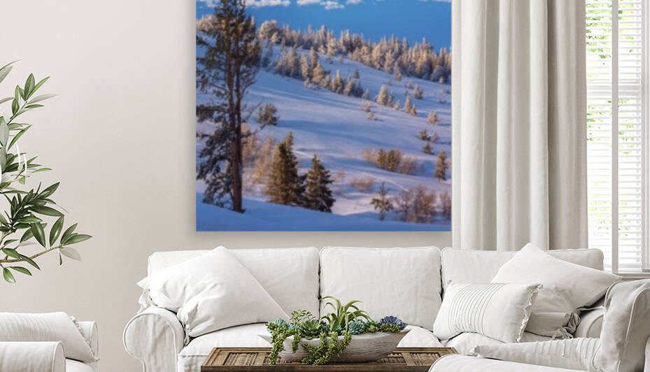 Blue Snow Reproduction