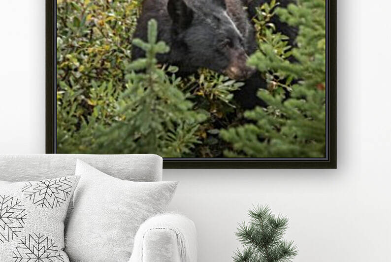 Berry Eating Bear by Nicholas