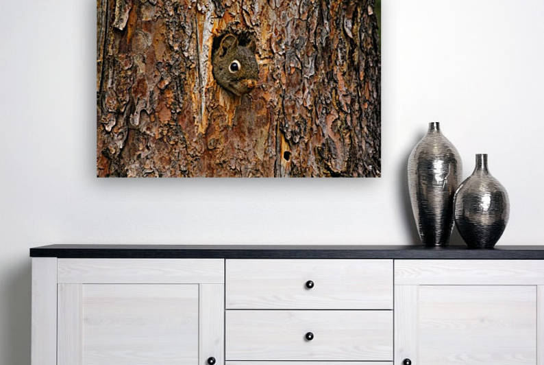 Chipmonk Home by Nicholas