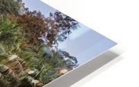 Oasis HD Metal print