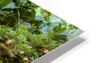Soothing Pond HD Metal print