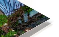 Waters Edge Impression metal HD