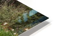 Hawaiian Stream HD Metal print