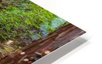 Slippery Bridge HD Metal print