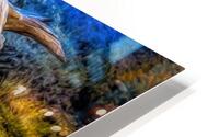 Fallen Bristlecone HD Metal print