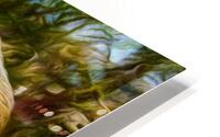 Angry Bristlecone HD Metal print