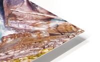 Glacial Pond HD Metal print