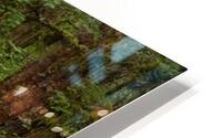 Green and Wet HD Metal print