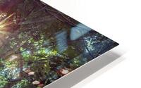 Shine On HD Metal print