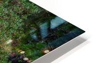 Manzanita HD Metal print