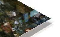 North Yuba River HD Metal print