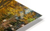 Tahoe Aspens HD Metal print