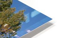 Aspen Dance HD Metal print
