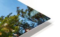 Aspen Group HD Metal print