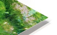 Submerged Slimey Rocks HD Metal print