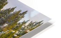 Winter Treeline HD Metal print