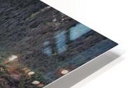 Mendenhall Glacier HD Metal print