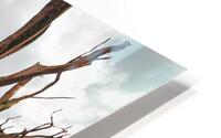 Twisted Tower HD Metal print