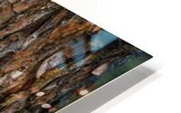 Chipmonk Home HD Metal print