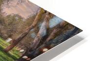Maintained Trail HD Metal print
