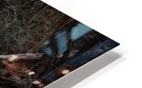 Misty Log HD Metal print