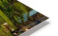 Trail off the Trail HD Metal print