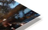 Reflecting Pond HD Metal print