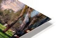 Maintained Trail Vivid HD Metal print