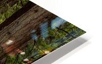 Burney Falls Walk HD Metal print