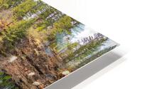Burney Falls Full View HD Metal print