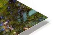 The Beach Leaner HD Metal print