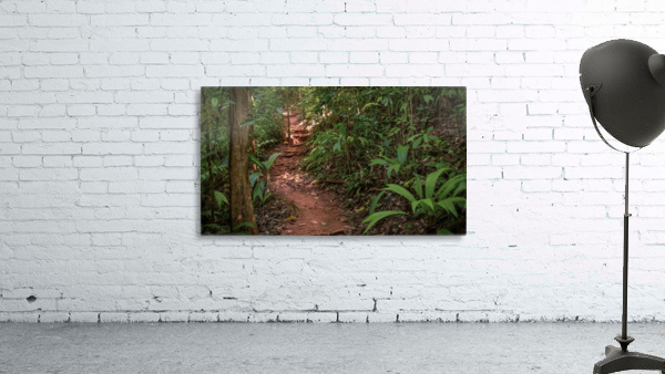 Jungle Path Wall Preview