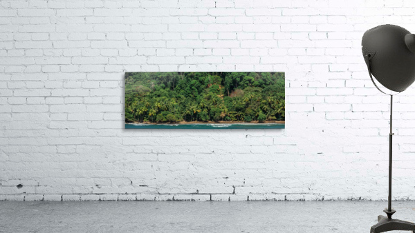 Costa Rica Beach Panorama  Wall Preview