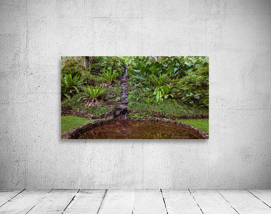 Soothing Pond Wall Preview