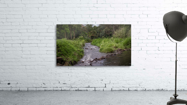 Hawaiian Stream Wall Preview
