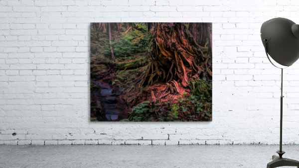 Is there anybody in there Wall Preview