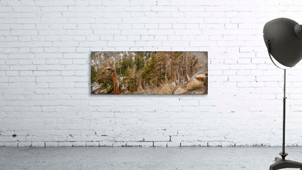 Twigs and Branches Wall Preview