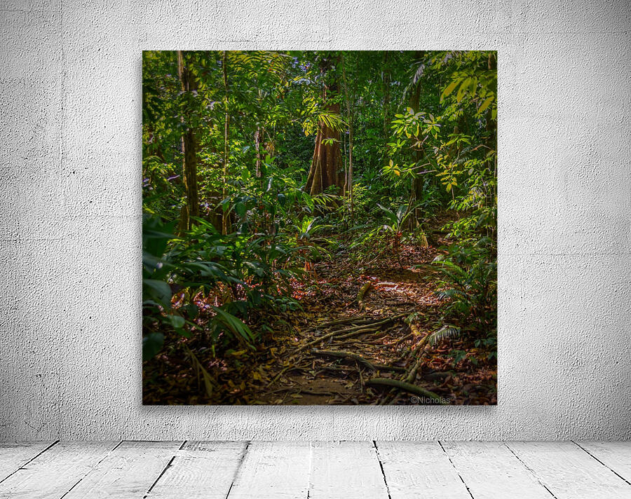 Lost in The Jungle Wall Preview